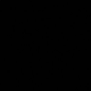 Meet your Posher, Jamilah